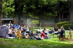 moylan teaching in the quad